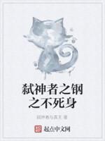 弑神者2.0钢铁侠