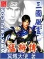 三国风云之猛将传全本