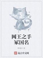 网王之手冢国光全本