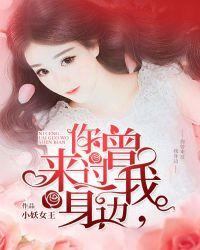 你曾来过我身边歌词